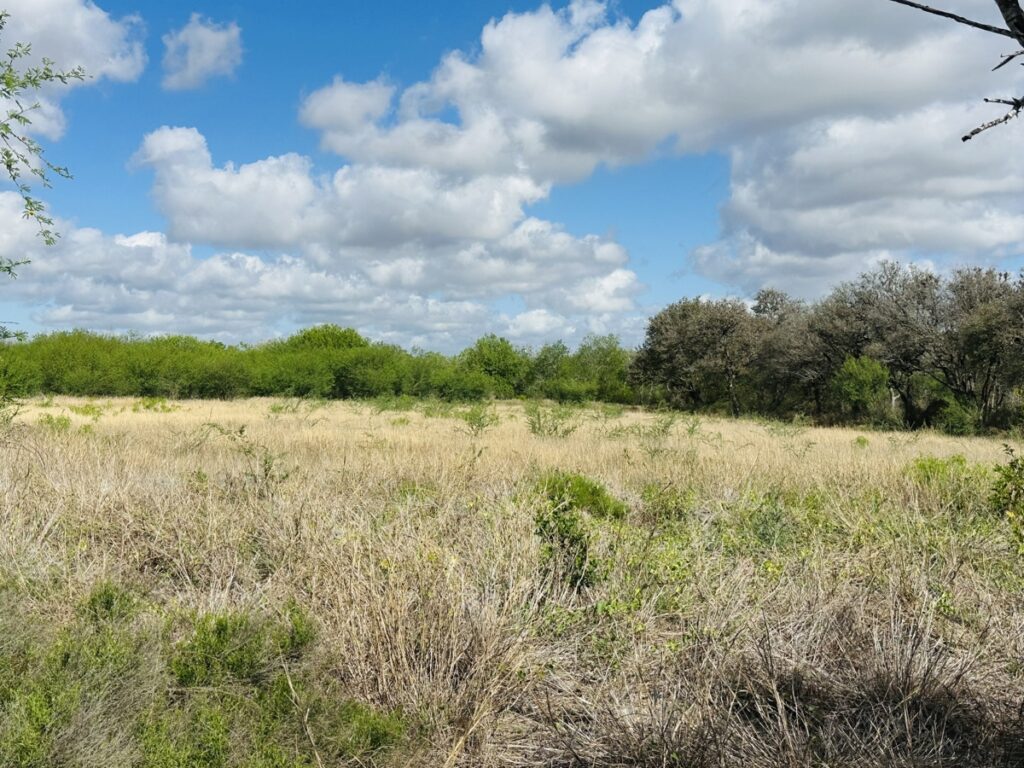 Property photo for land for sale in San Patricio County Texas