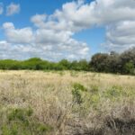 Property photo for land for sale in San Patricio County Texas