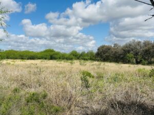 Property photo for land for sale in San Patricio County Texas