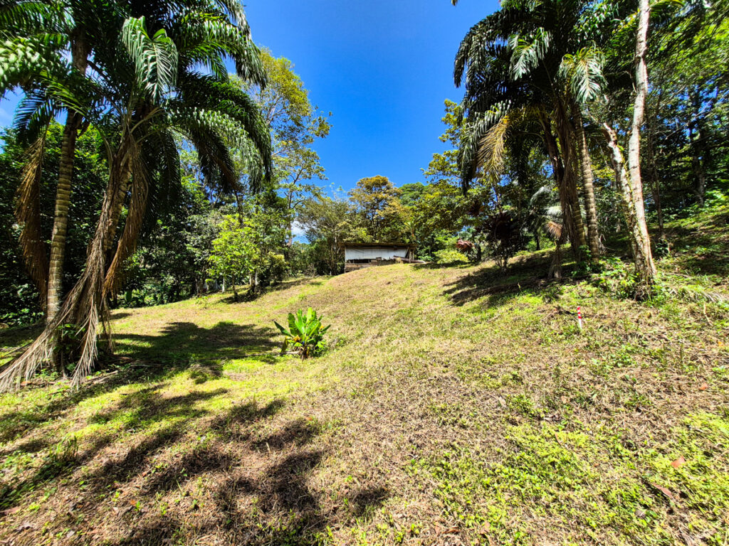 Property photo for land for sale in  County Panama