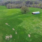 Property photo for land for sale in Clinton County Kentucky