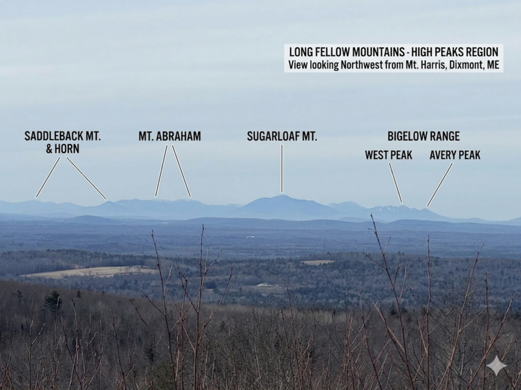 Property photo for land for sale in Penobscot County Maine