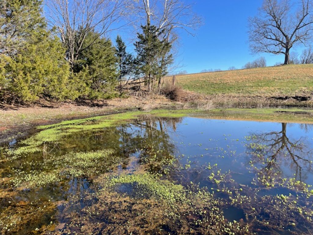 Property photo for land for sale in Searcy County Arkansas