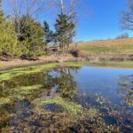 Property photo for land for sale in Searcy County Arkansas