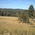 Property photo for land for sale in Pushmataha County Oklahoma