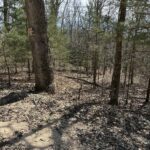 Property photo for land for sale in Douglas County Missouri