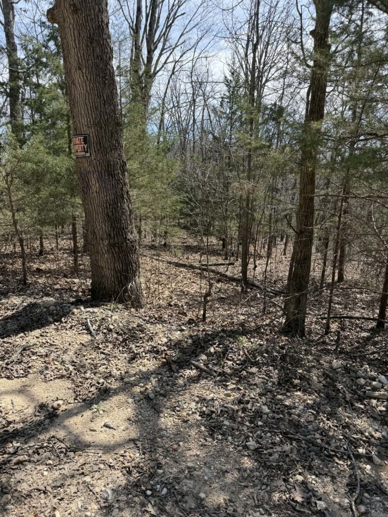 Property photo for land for sale in Douglas County Missouri