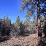 Property photo for land for sale in Rio Arriba County New Mexico