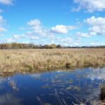 Property photo for land for sale in Columbia County Wisconsin