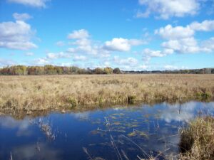 Property photo for land for sale in Columbia County Wisconsin