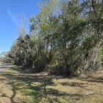 Property photo for land for sale in Columbia County Florida