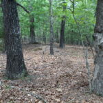 Property photo for land for sale in Boone County Missouri