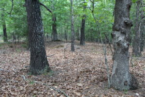 Property photo for land for sale in Boone County Missouri