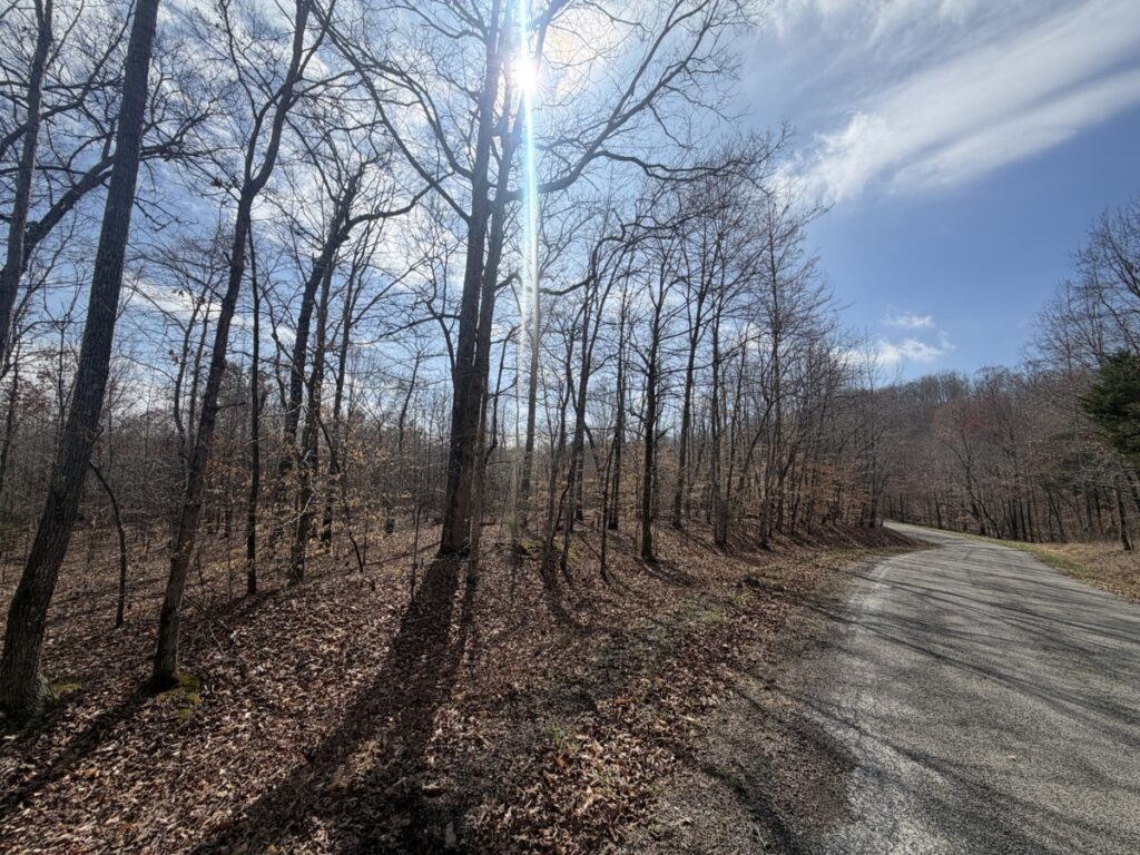Property photo for land for sale in Benton County Tennessee