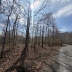 Property photo for land for sale in Benton County Tennessee