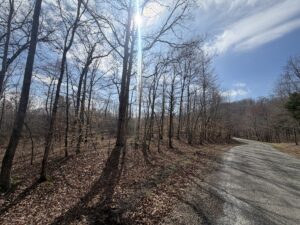 Property photo for land for sale in Benton County Tennessee