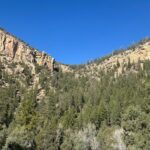 Property photo for land for sale in Rio Arriba County New Mexico