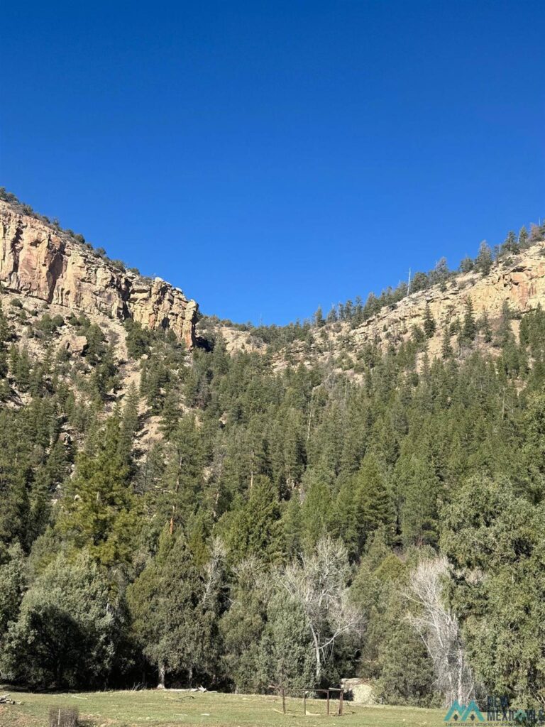 Property photo for land for sale in Rio Arriba County New Mexico