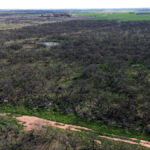 Property photo for land for sale in Archer County Texas