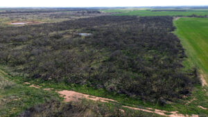 Property photo for land for sale in Archer County Texas