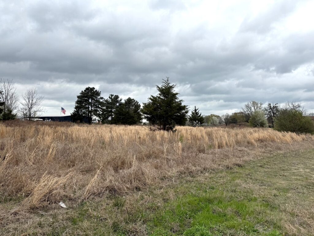Property photo for land for sale in Bowie County Texas