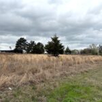 Property photo for land for sale in Bowie County Texas