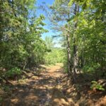 Property photo for land for sale in Le Flore County Oklahoma