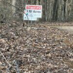 Property photo for land for sale in Clinton County Kentucky