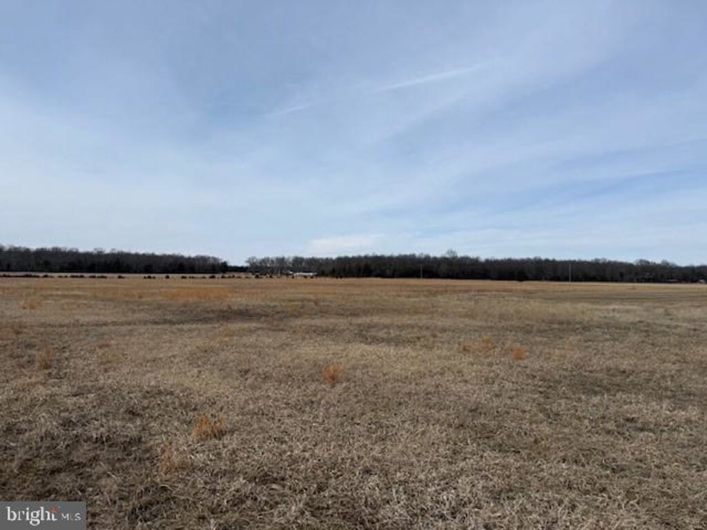 Property photo for land for sale in Culpeper County Virginia