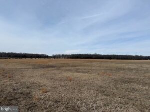 Property photo for land for sale in Culpeper County Virginia