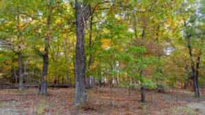 Property photo for land for sale in Boone County Missouri
