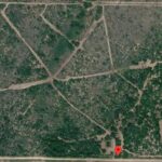 Property photo for land for sale in Duval County Texas