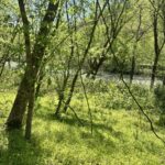 Property photo for land for sale in Harlan County Kentucky