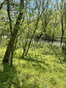 Property photo for land for sale in Harlan County Kentucky