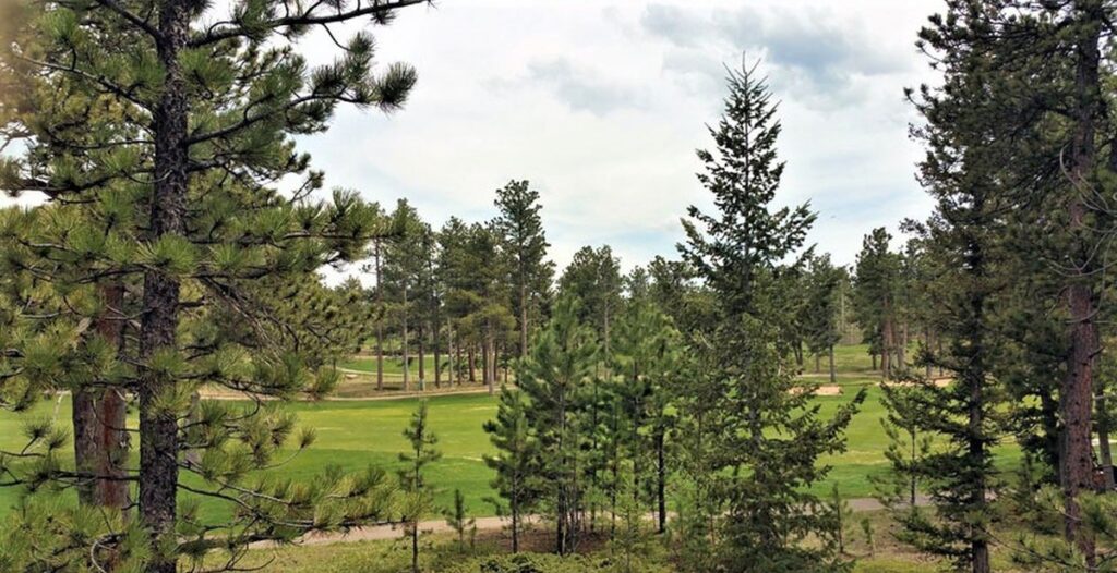 Property photo for land for sale in Larimer County Colorado