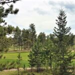 Property photo for land for sale in Larimer County Colorado