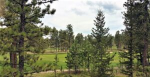 Property photo for land for sale in Larimer County Colorado