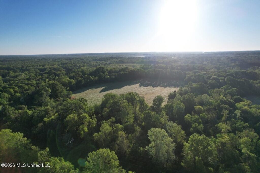 Property photo for land for sale in Hinds County Mississippi