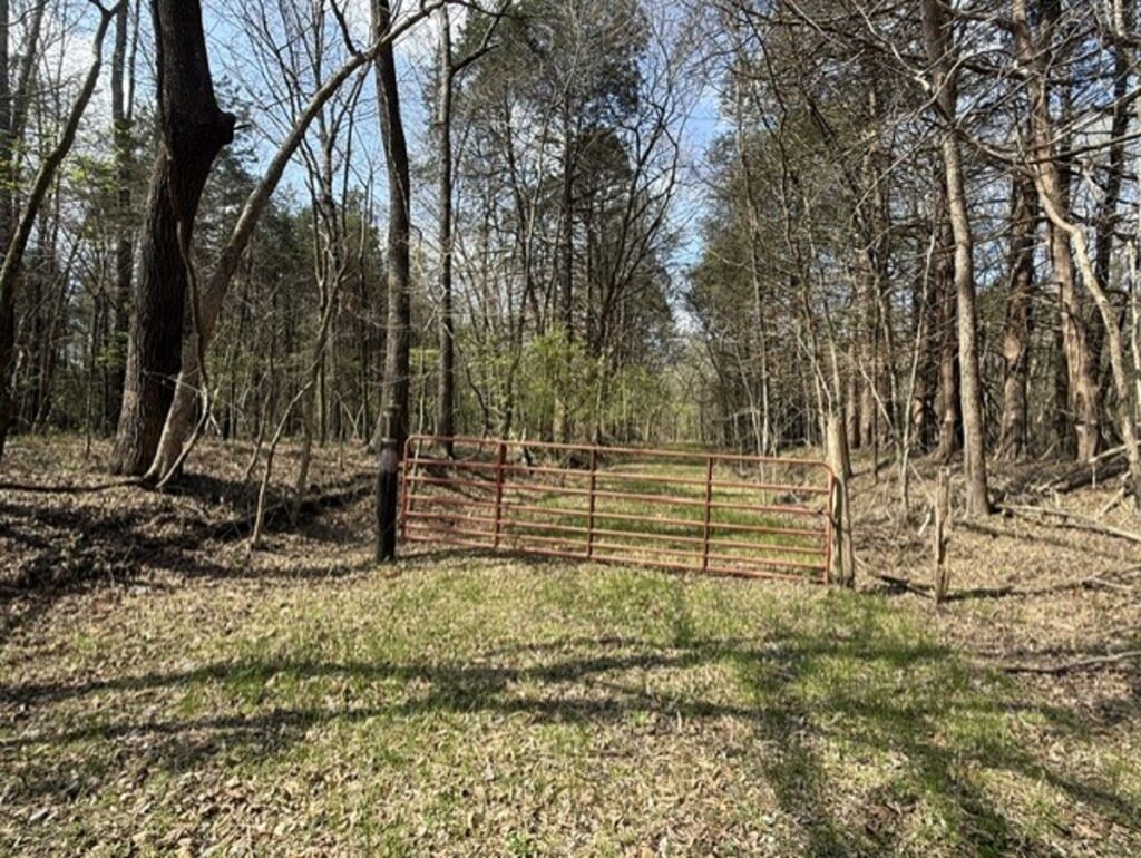 Property photo for land for sale in Sharp County Arkansas