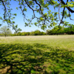Property photo for land for sale in Lincoln County Oklahoma