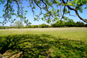 Property photo for land for sale in Lincoln County Oklahoma