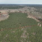 Property photo for land for sale in Ouachita County Arkansas