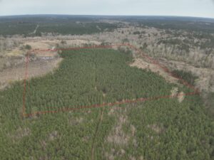 Property photo for land for sale in Ouachita County Arkansas
