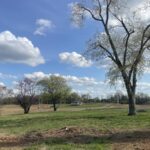 Property photo for land for sale in Warren County Kentucky