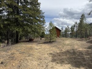Property photo for land for sale in Rio Arriba County New Mexico
