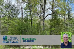 Property photo for land for sale in Fulton County Arkansas