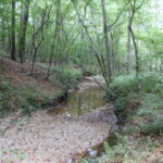 Property photo for land for sale in Lincoln County Mississippi