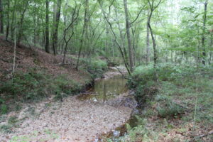 Property photo for land for sale in Lincoln County Mississippi
