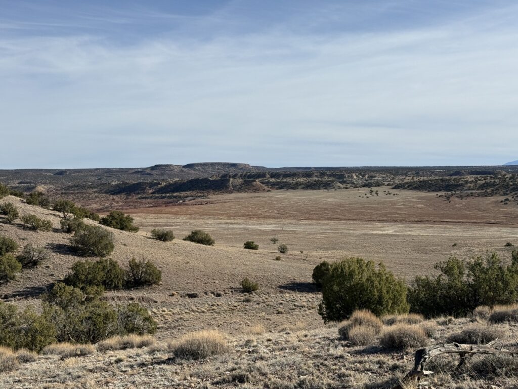 Property photo for land for sale in Apache County Arizona