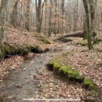 Property photo for land for sale in Lawrence County Tennessee